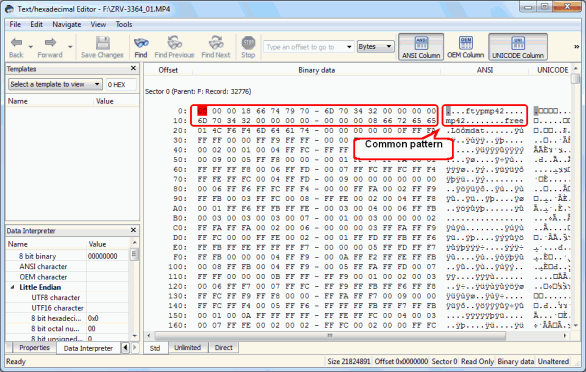 Creazione di un tipo di file noto personalizzato per R-Studio: firma del file in File 4