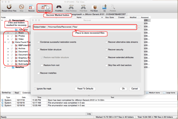 Files and folders marked for recovery and recovery options