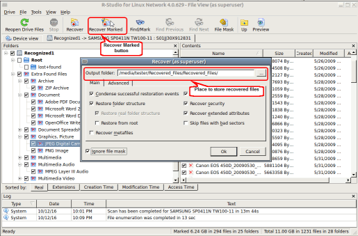 Files marked for recovery and recovery options