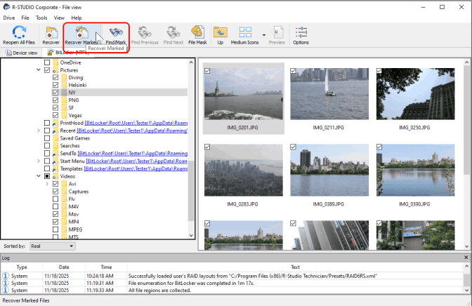 Files and folders marked for recovery