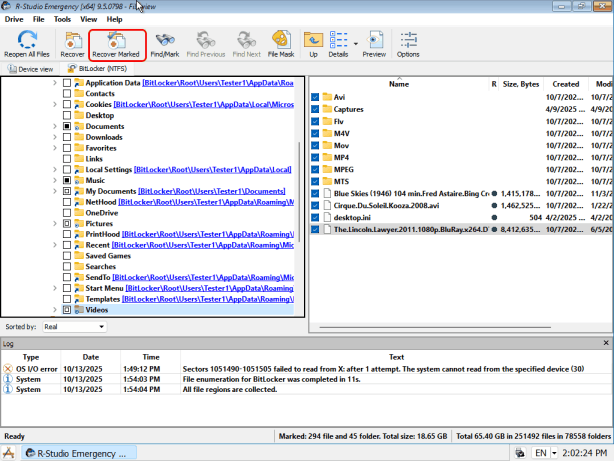 Files and folders marked for recovery