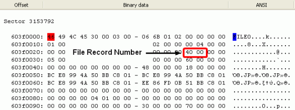 Finding RAID parameters: File record in Disk1