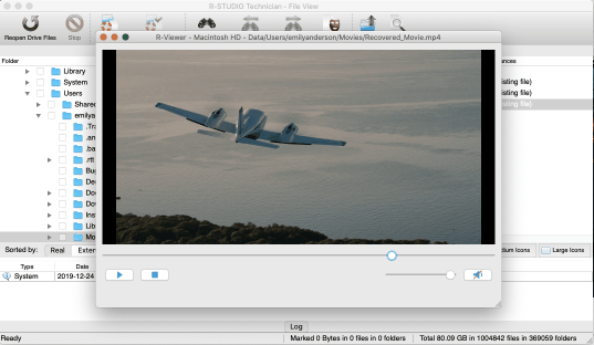 R-Studio Technician for Mac에서 파일 미리보기