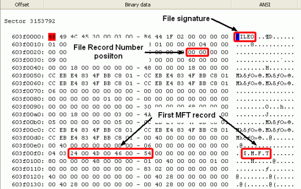 Ermitteln der RAID-Parameter: Dateimuster