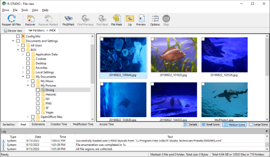 Файлы на диске VMDK открытом в R-Studio