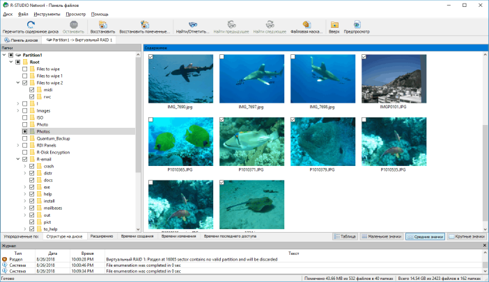 Восстановление RAID: просмотр структуры папок/файлов